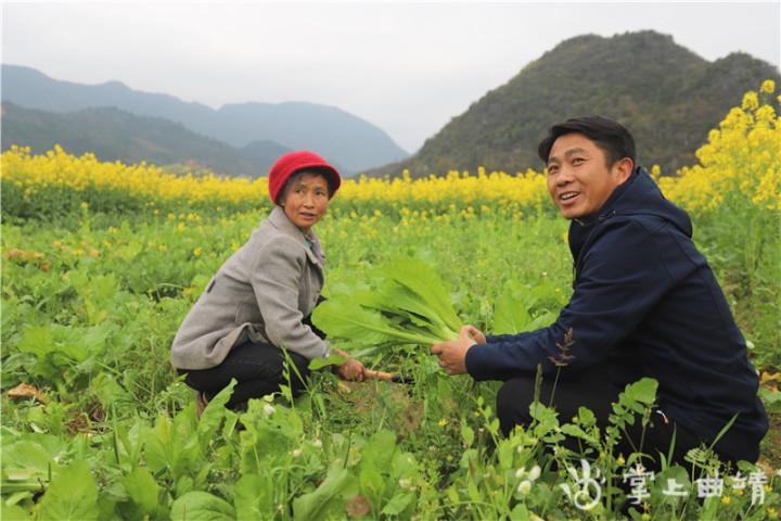 行家村委会新领导核心，引领乡村发展的先锋力量