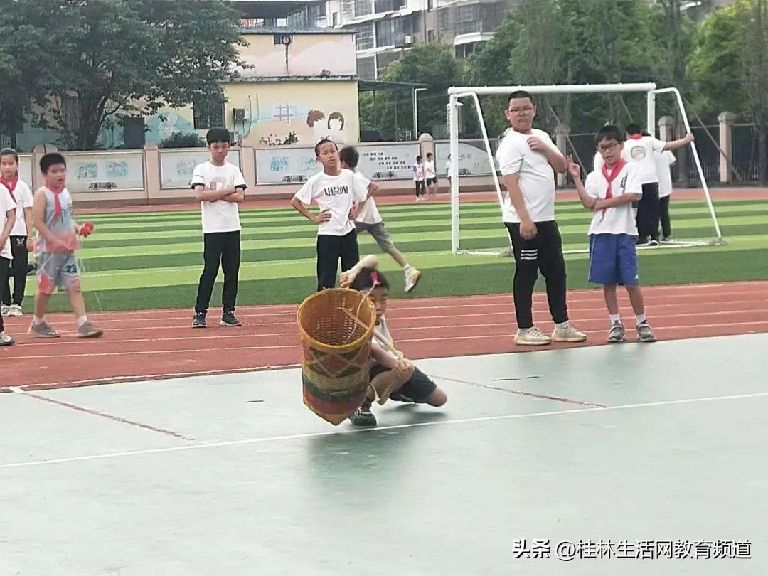 桂林市民族事务委员会最新招聘启事概览