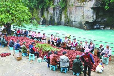 怒江傈僳族自治州广播电视局领导团队介绍